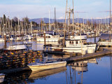 Squalicum Harbor with Mt. Baker, Bellingham, Washington Photographic Print by Jamie & Judy Wild