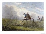 Guarding the Corn Fields Giclee Print by Mary Eastman