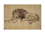 Lion Giclee Print by Rembrandt van Rijn 