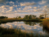 Chimney Creek Reflections, Tybee Island, Savannah, Georgia Photographic Print by Joanne Wells