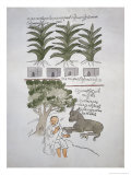 Page from Codex Techialoyanun Pagina Tomada Del Codice Techialogany Giclee Print by Edward Kingsborough