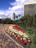 Park Area with Skyline, Orlando, Florida Photographie par Bill Bachmann