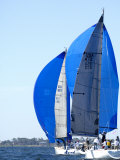 West Florida Ocean Racing Circuit, Pensacola Yacht Club, Pensacola, Florida Impressão fotográfica por Franklin Viola