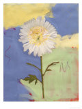 White Mum Giclee-trykk av Peggy Brown