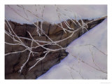 Winter Landscape, c.2006 Impressão giclée por Erik Slutsky Winter Landscape, c.2006 Impressão giclée por Erik Slutsky