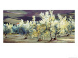 Olive Trees in the Evening Impressão giclée por Helen J. Vaughn Olive Trees in the Evening Impressão giclée por Helen J. Vaughn