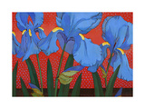 Irises and Red Giclee Print by John Newcomb