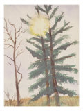 Sunburst Through Tree, c.2006 Impressão giclée por Erik Slutsky Sunburst Through Tree, c.2006 Impressão giclée por Erik Slutsky