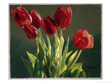 Rote Tulpe Giclée-Druck von Helen J. Vaughn