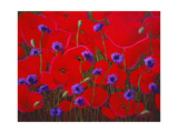 Poppies and Batchelor Buttons Giclee Print by John Newcomb