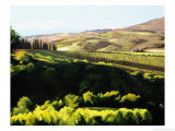 Midday in Tuscany Giclée-Druck von Helen J. Vaughn