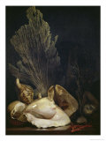 Coquillages et Madreposes Giclee Print by Antoine Berjon
