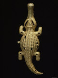 Crocodile - Fotografik Baskı