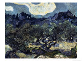 Olive Trees with the Alpilles in the Background Giclee Print by Vincent van Gogh