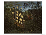 Tropical Forest: Battling Tiger and Bull reproduction procédé giclée par Henri Rousseau