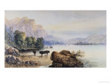 Buffalo Watering reproduction procédé giclée par Edward Moran