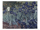 Iris Reproduction procédé giclée par Vincent van Gogh