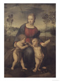 Madonna of the Goldfinch Reproduction procédé giclée par Raphael 