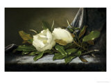 Giant Magnolias on a Light Blue Velvet Cloth reproduction procédé giclée par Martin Johnson Heade