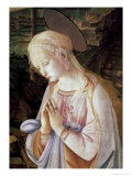 Detail of Madonna and Child with Angels Giclee Print by Filippino Lippi