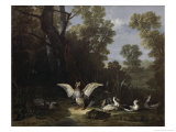 Patos Lámina giclée por Jean-Baptiste Oudry