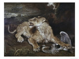 Lioness and Heron Giclee Print by John Ward