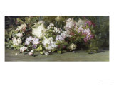 Mountain Laurel Giclee Print by Alfred Palmer