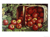 The Basket of Apples Giclee Print by Levi Wells Prentice