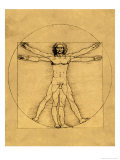 Proportions of the Human Figure Gicleetryck av Leonardo da Vinci Proportions of the Human Figure Gicleetryck av Leonardo da Vinci