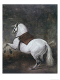 White Horse Giclee Print by Diego Velázquez