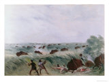 Hunting Buffalo Giclée-Druck von George Catlin
