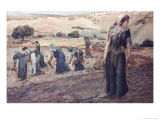Ruth Gleaning Giclee Print by James Tissot