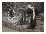 The Vine Dresser and the Fig Tree Giclee Print by James Tissot