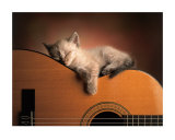 Sleeping Soundly Plakater af Xavier Chantrenne