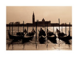 Gondolas, Venice Posters