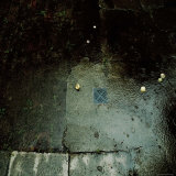Fallen Apples in the Rain Photographic Print by Ewa Zauscinska