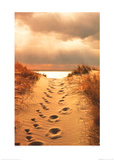 Footprints In The Sand Pósters por Jane Vollers
