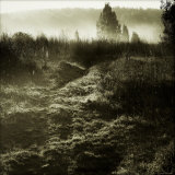 Low Fog on Field Photographie par Ewa Zauscinska