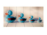 Blue Ducks Poster by Ian Winstanley