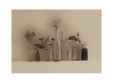 Flower Collection Láminas por Ian Winstanley Flower Collection Láminas por Ian Winstanley