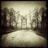 Tracks into Field Photographie par Ewa Zauscinska