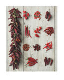 Picante Print by Howard Shooter