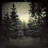 Blurred Forest Photographic Print by Ewa Zauscinska