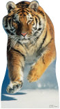 Tiger Snow Stand Up