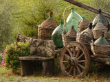 Vineyards, Tuscany, Italy Fotografie-Druck von Keith Levit