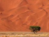 Sand Dunes of Sossusvlei, Namib Desert, Namibia Fotografisk tryk af Keith Levit Sand Dunes of Sossusvlei, Namib Desert, Namibia Fotografisk tryk af Keith Levit