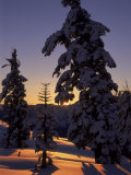 Sunrise Over Lake Tahoe, CA Photographic Print by Kyle Krause