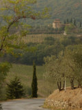 Landscapes, Tuscany, Italy Lámina fotográfica por Keith Levit Landscapes, Tuscany, Italy Lámina fotográfica por Keith Levit