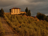 Landscapes, Tuscany, Italy Photographic Print by Keith Levit
