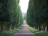 Chateau de Versailles, France Lámina fotográfica por Keith Levit